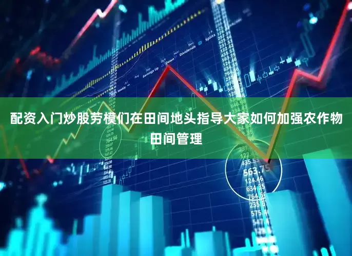 配资入门炒股劳模们在田间地头指导大家如何加强农作物田间管理