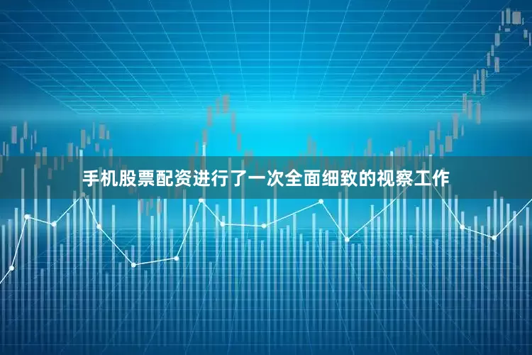 手机股票配资进行了一次全面细致的视察工作