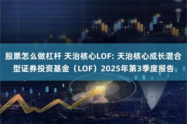 股票怎么做杠杆 天治核心LOF: 天治核心成长混合型证券投资基金（LOF）2025年第3季度报告