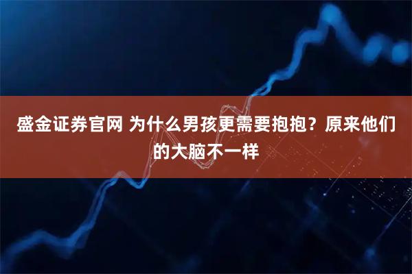盛金证券官网 为什么男孩更需要抱抱？原来他们的大脑不一样