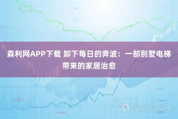 森利网APP下载 卸下每日的奔波：一部别墅电梯带来的家居治愈